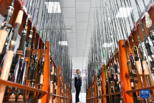 河北肅寧 小魚竿 釣出 國際大市場